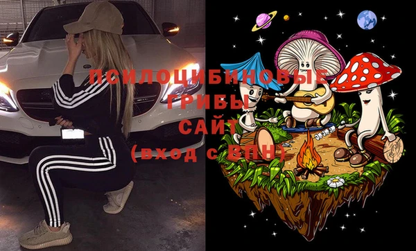 ПСИЛОЦИБИНОВЫЕ ГРИБЫ Абдулино