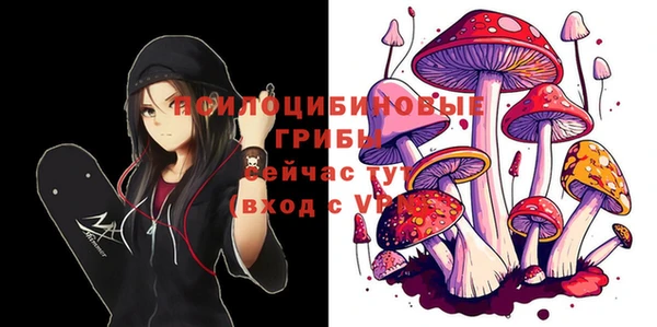 таблы Абинск