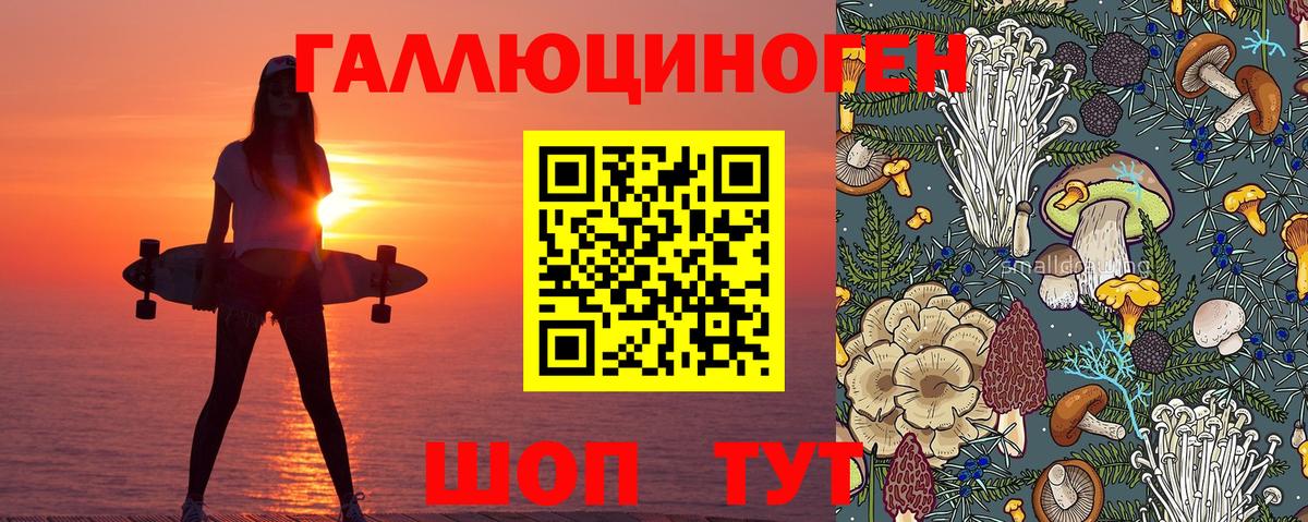Аксай  Псилоцибиновые грибы мицелий  Галлюциногенные грибы ЛСД  Вход с VPN 