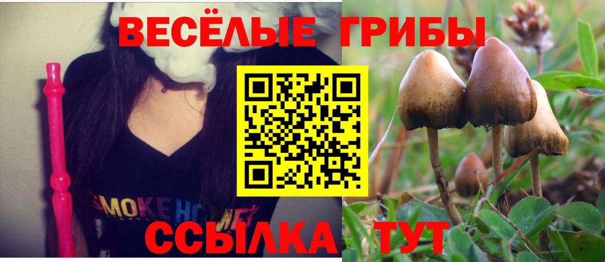 Галлюциногенные грибы прущие грибы Аксай